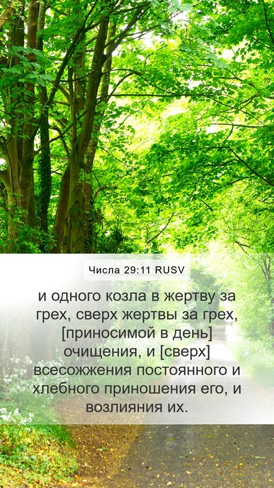 Числа 29:11 RUSV Bible Verse Image