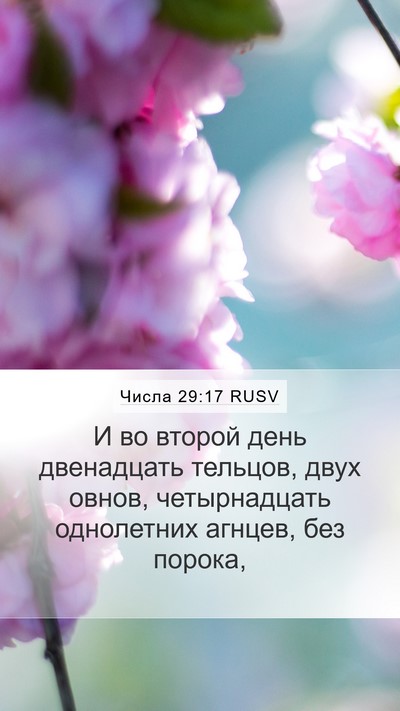 Числа 29:17 RUSV Mobile Phone Wallpaper - И во второй день - Mobile Bible Verse Wallpaper