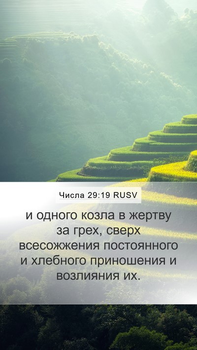 Числа 29:19 RUSV Bible Verse Image