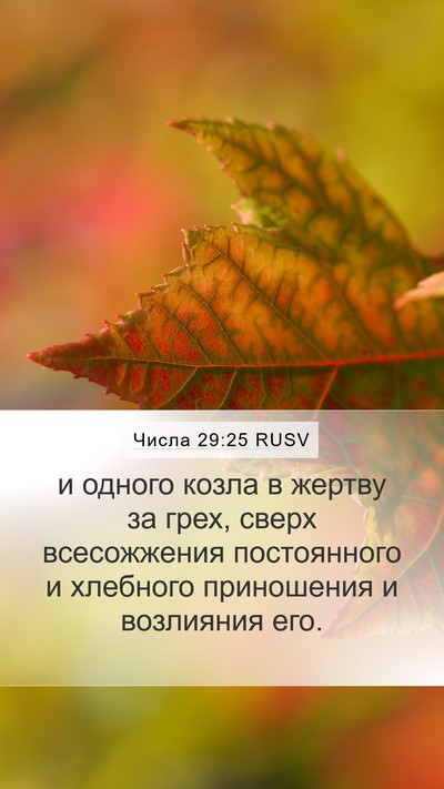 Числа 29:25 RUSV Bible Verse Image