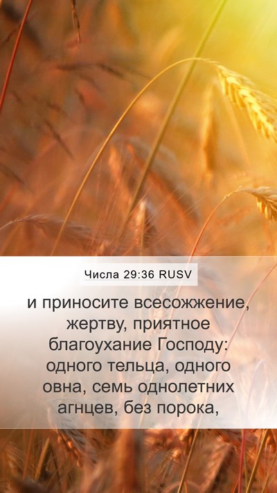Числа 29:36 RUSV Bible Verse Image