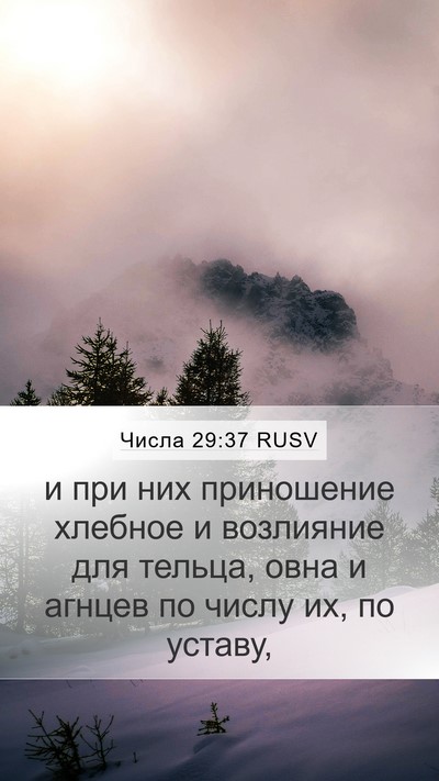 Числа 29:37 RUSV Mobile Phone Wallpaper - и при них приношение - Mobile Bible Verse Wallpaper