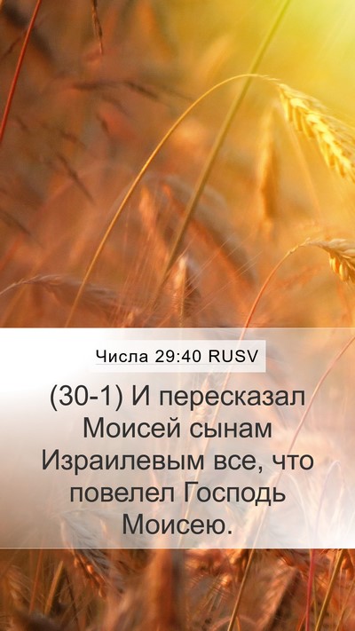 Числа 29:40 RUSV Bible Verse Image