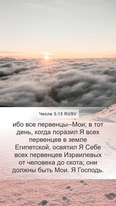 Числа 3:13 RUSV Mobile Phone Wallpaper - ибо все первенцы--Мои; в тот - Mobile Bible Verse Wallpaper