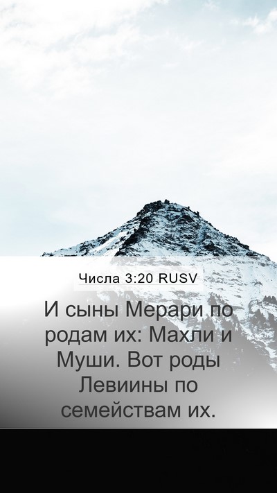 Числа 3:20 RUSV Bible Verse Image
