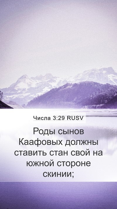 Числа 3:29 RUSV Bible Verse Image