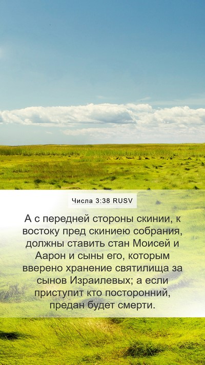 Числа 3:38 RUSV Bible Verse Image