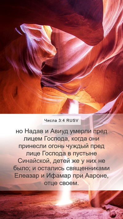 Числа 3:4 RUSV Bible Verse Image