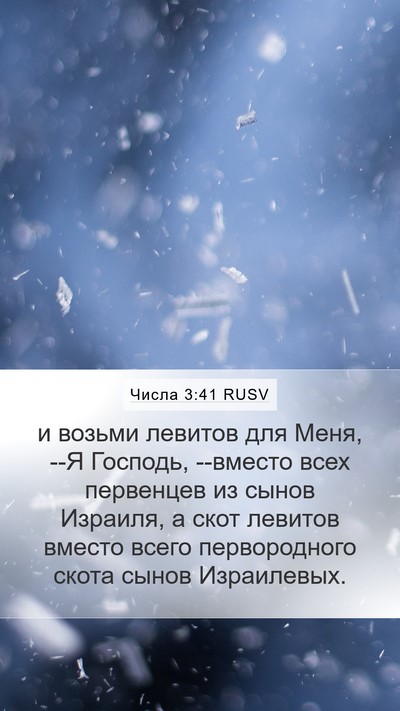 Числа 3:41 RUSV Bible Verse Image