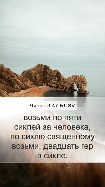 Числа 3:47 RUSV Mobile Phone Wallpaper - возьми по пяти сиклей за - Mobile Bible Verse Wallpaper