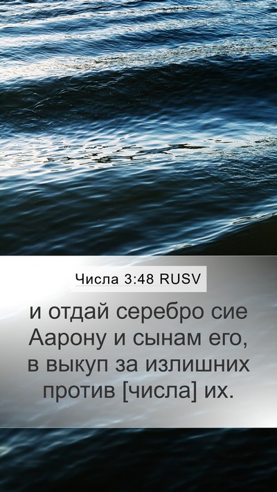Числа 3:48 RUSV Mobile Phone Wallpaper - и отдай серебро сие Аарону - Mobile Bible Verse Wallpaper