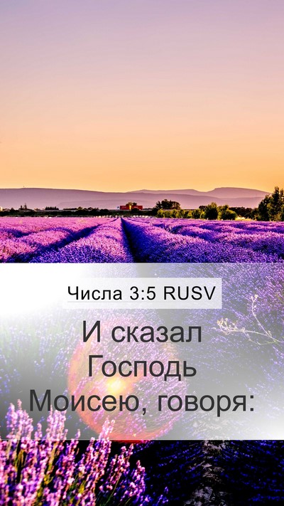 Числа 3:5 RUSV Mobile Phone Wallpaper - И сказал Господь Моисею, - Mobile Bible Verse Wallpaper