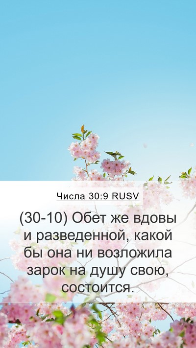 Числа 30:9 RUSV Mobile Phone Wallpaper - (30-10) Обет же вдовы и - Mobile Bible Verse Wallpaper