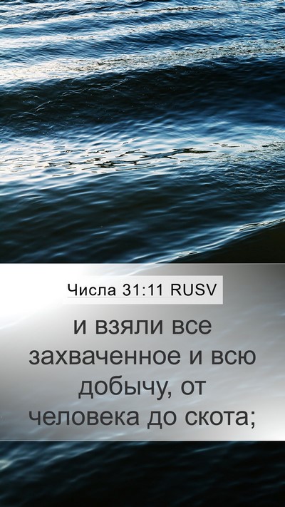 Числа 31:11 RUSV Bible Verse Image