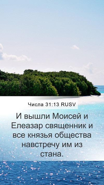 Числа 31:13 RUSV Mobile Phone Wallpaper - И вышли Моисей и Елеазар - Mobile Bible Verse Wallpaper