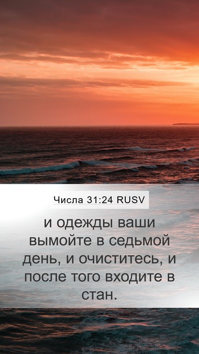 Числа 31:24 RUSV Mobile Phone Wallpaper - и одежды ваши вымойте в - Mobile Bible Verse Wallpaper