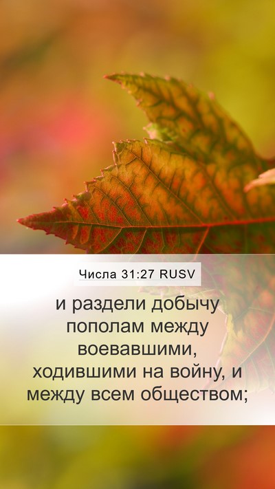 Числа 31:27 RUSV Bible Verse Image
