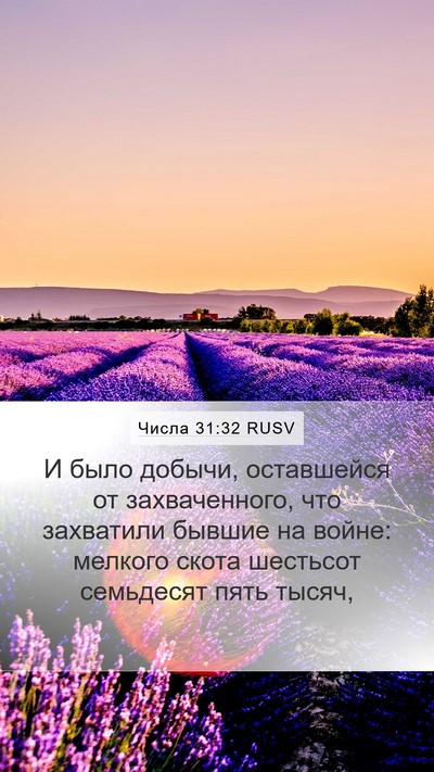 Числа 31:32 RUSV Mobile Phone Wallpaper - И было добычи, оставшейся - Mobile Bible Verse Wallpaper