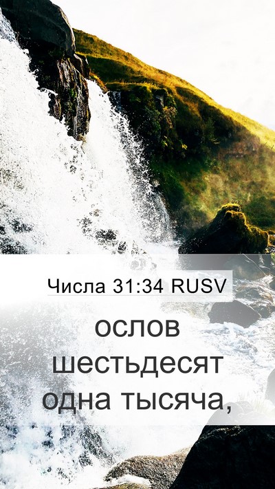 Числа 31:34 RUSV Mobile Phone Wallpaper - ослов шестьдесят одна - Mobile Bible Verse Wallpaper