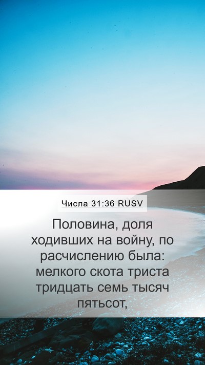 Числа 31:36 RUSV Mobile Phone Wallpaper - Половина, доля ходивших на - Mobile Bible Verse Wallpaper