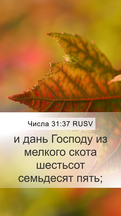 Числа 31:37 RUSV Mobile Phone Wallpaper - и дань Господу из мелкого - Mobile Bible Verse Wallpaper