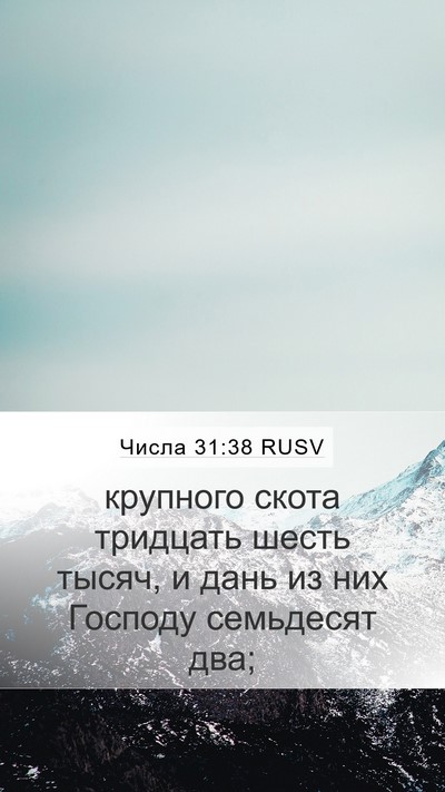 Числа 31:38 RUSV Mobile Phone Wallpaper - крупного скота тридцать - Mobile Bible Verse Wallpaper