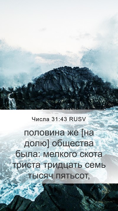 Числа 31:43 RUSV Mobile Phone Wallpaper - половина же [на долю] - Mobile Bible Verse Wallpaper
