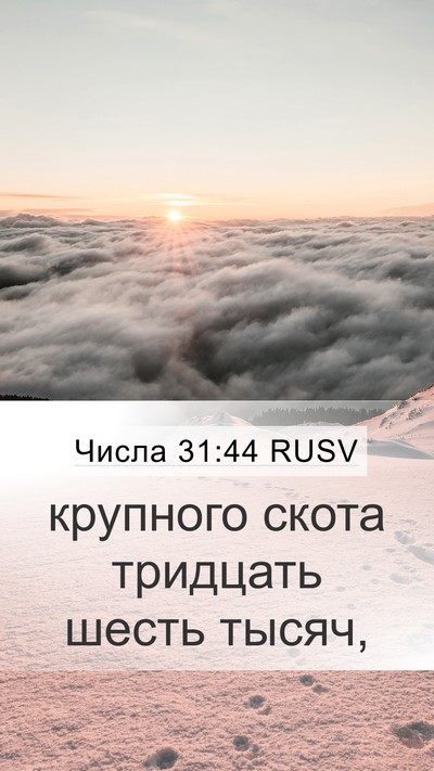 Числа 31:44 RUSV Mobile Phone Wallpaper - крупного скота тридцать - Mobile Bible Verse Wallpaper