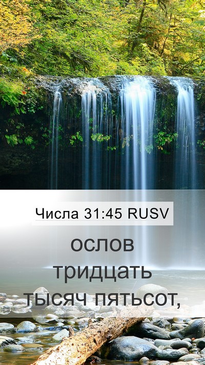 Числа 31:45 RUSV Mobile Phone Wallpaper - ослов тридцать тысяч - Mobile Bible Verse Wallpaper