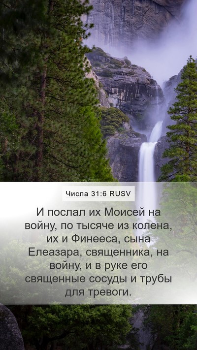 Числа 31:6 RUSV Bible Verse Image