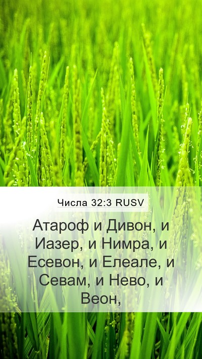 Числа 32:3 RUSV Bible Verse Image