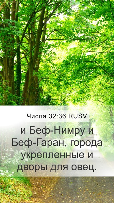 Числа 32:36 RUSV Bible Verse Image