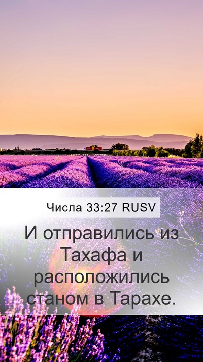 Числа 33:27 RUSV Mobile Phone Wallpaper - И отправились из Тахафа и - Mobile Bible Verse Wallpaper