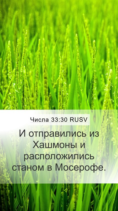 Числа 33:30 RUSV Mobile Phone Wallpaper - И отправились из Хашмоны и - Mobile Bible Verse Wallpaper