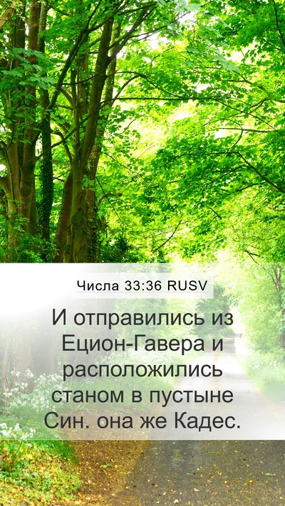Числа 33:36 RUSV Bible Verse Image