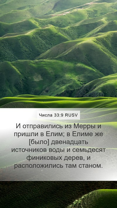 Числа 33:9 RUSV Mobile Phone Wallpaper - И отправились из Мерры и - Mobile Bible Verse Wallpaper