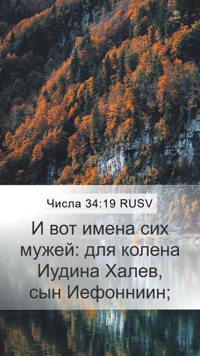 Числа 34:19 RUSV Bible Verse Image