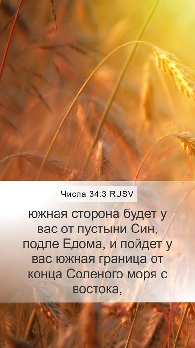 Числа 34:3 RUSV Bible Verse Image