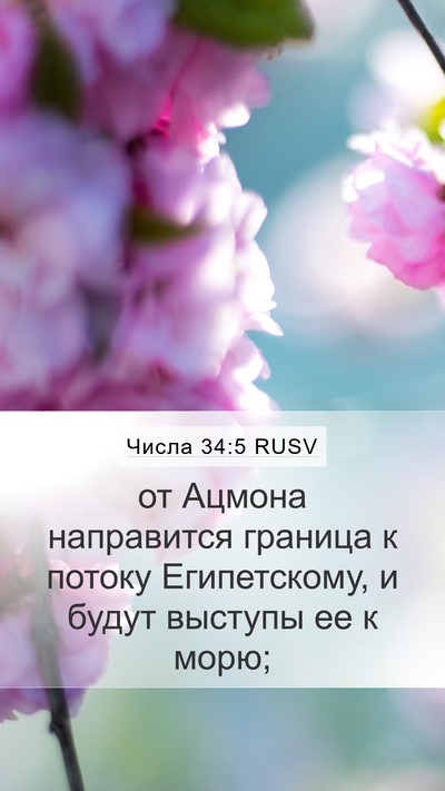 Числа 34:5 RUSV Bible Verse Image
