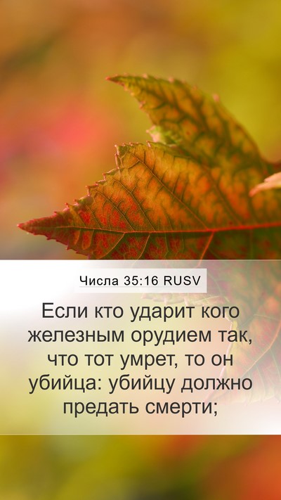 Числа 35:16 RUSV Bible Verse Image