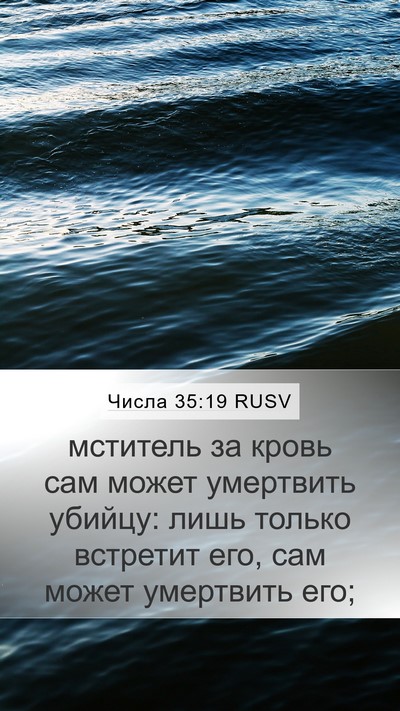 Числа 35:19 RUSV Bible Verse Image