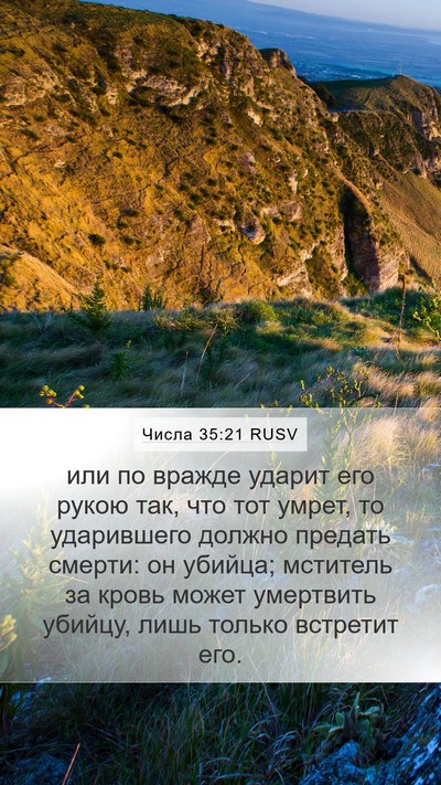 Числа 35:21 RUSV Bible Verse Image