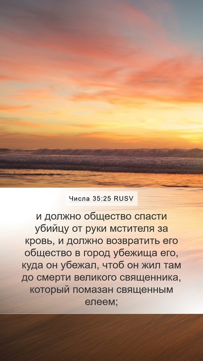 Числа 35:25 RUSV Bible Verse Image
