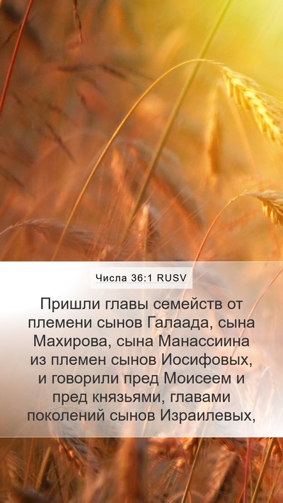 Числа 36:1 RUSV Bible Verse Image