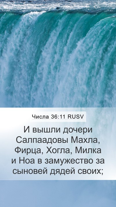Числа 36:11 RUSV Mobile Phone Wallpaper - И вышли дочери Салпаадовы - Mobile Bible Verse Wallpaper