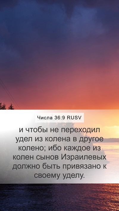 Числа 36:9 RUSV Bible Verse Image