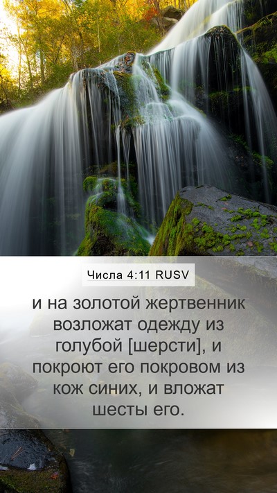 Числа 4:11 RUSV Bible Verse Image