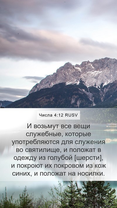 Числа 4:12 RUSV Bible Verse Image