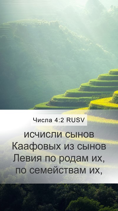 Числа 4:2 RUSV Mobile Phone Wallpaper - исчисли сынов Каафовых из - Mobile Bible Verse Wallpaper