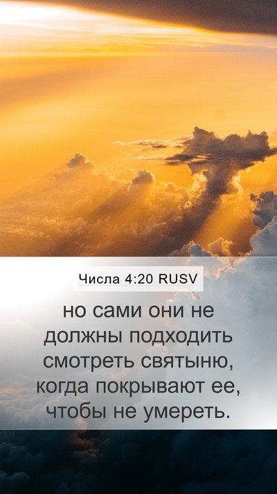 Числа 4:20 RUSV Mobile Phone Wallpaper - но сами они не должны - Mobile Bible Verse Wallpaper